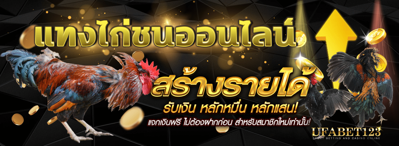 แทงไก่ชนออนไลน์