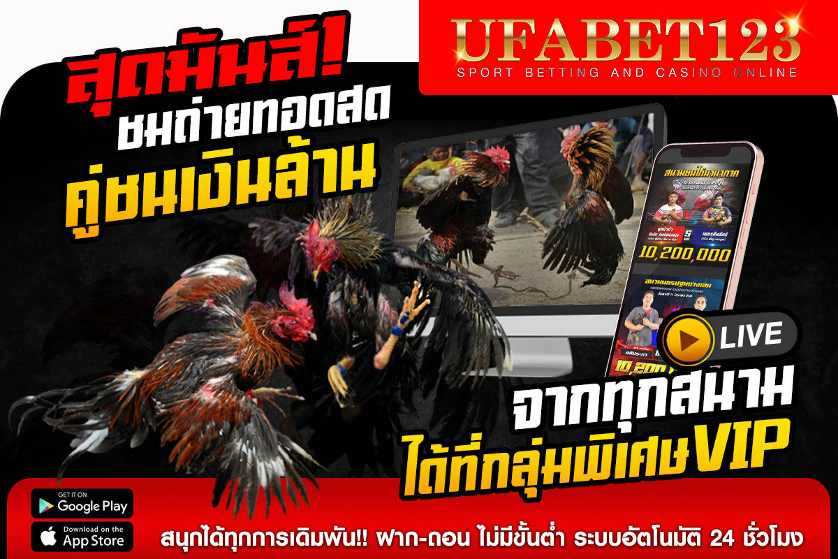 เว็บไก่ชนสด